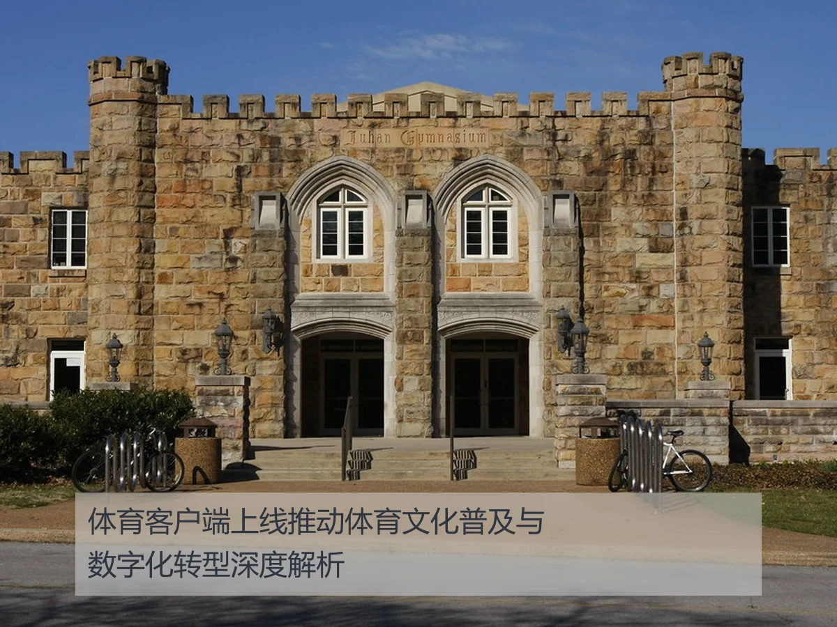 体育客户端上线推动体育文化普及与数字化转型深度解析